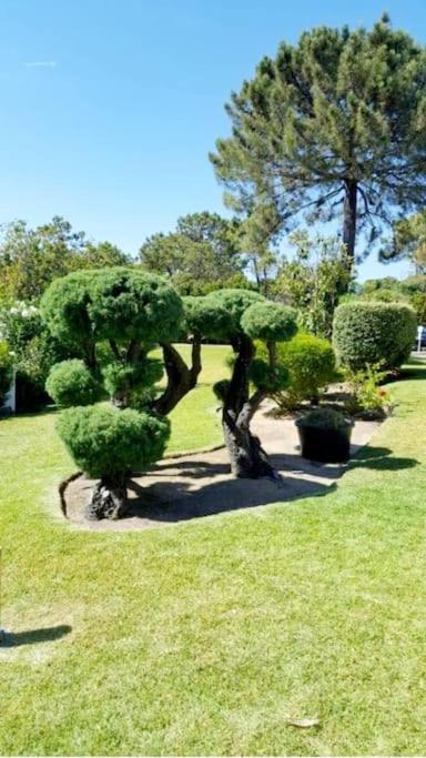 Victory Village Club,Quinta Do Lago Loulé Dış mekan fotoğraf